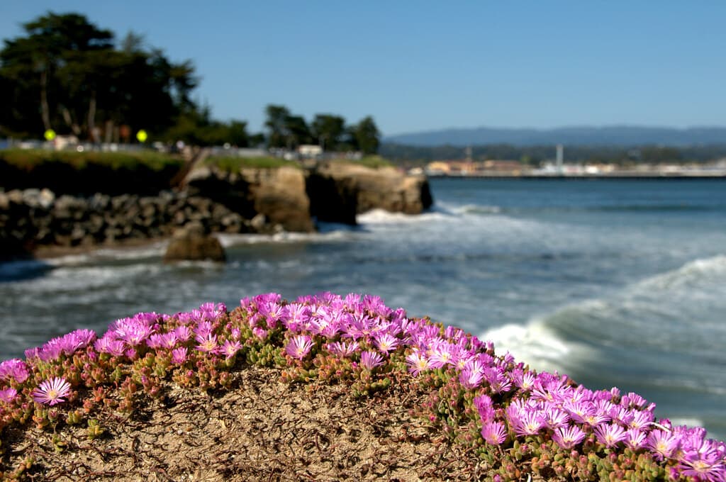 Business growth and scaling hero